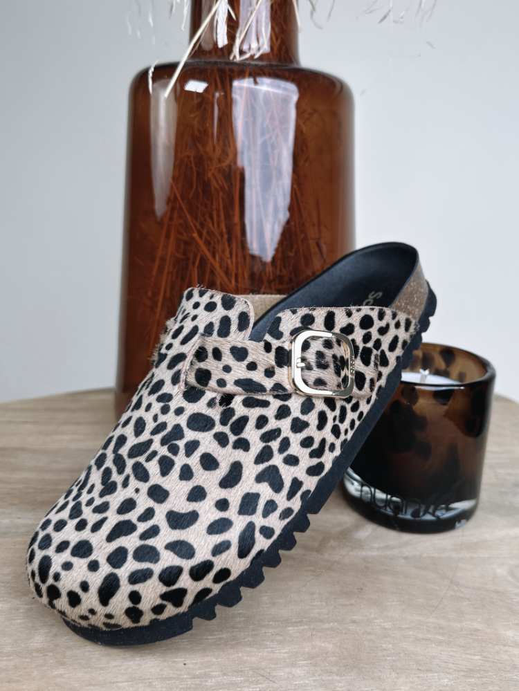  LEOPARD