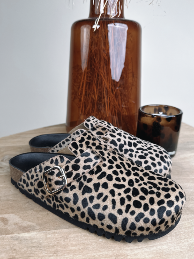  LEOPARD