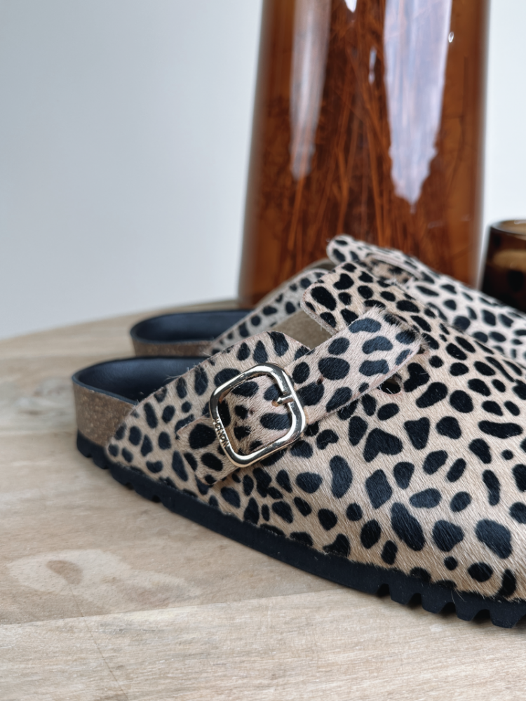  LEOPARD