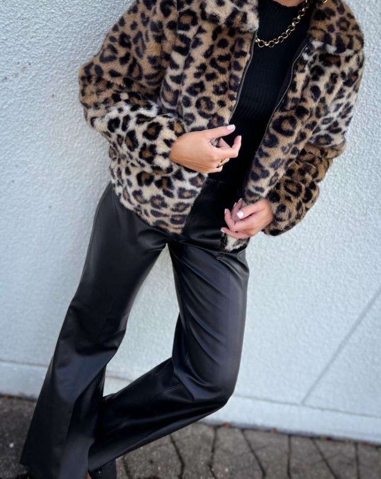  9061-leopard