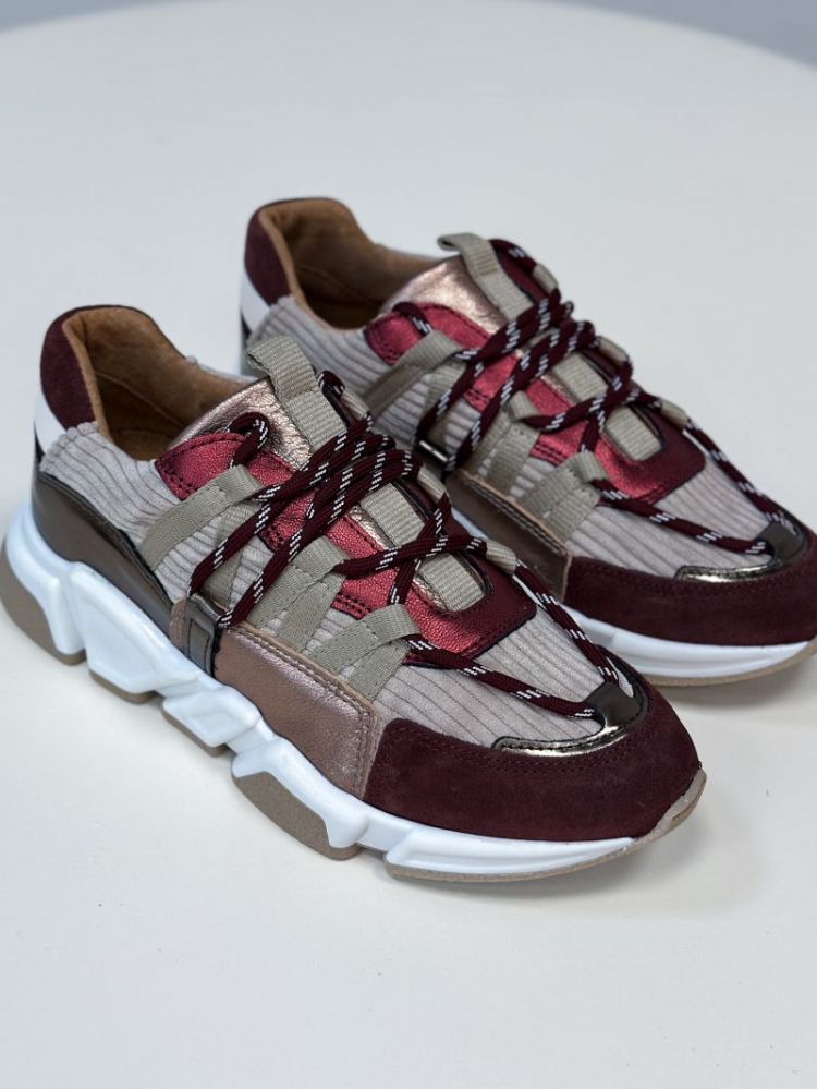  BORDEAUX/BEIGE