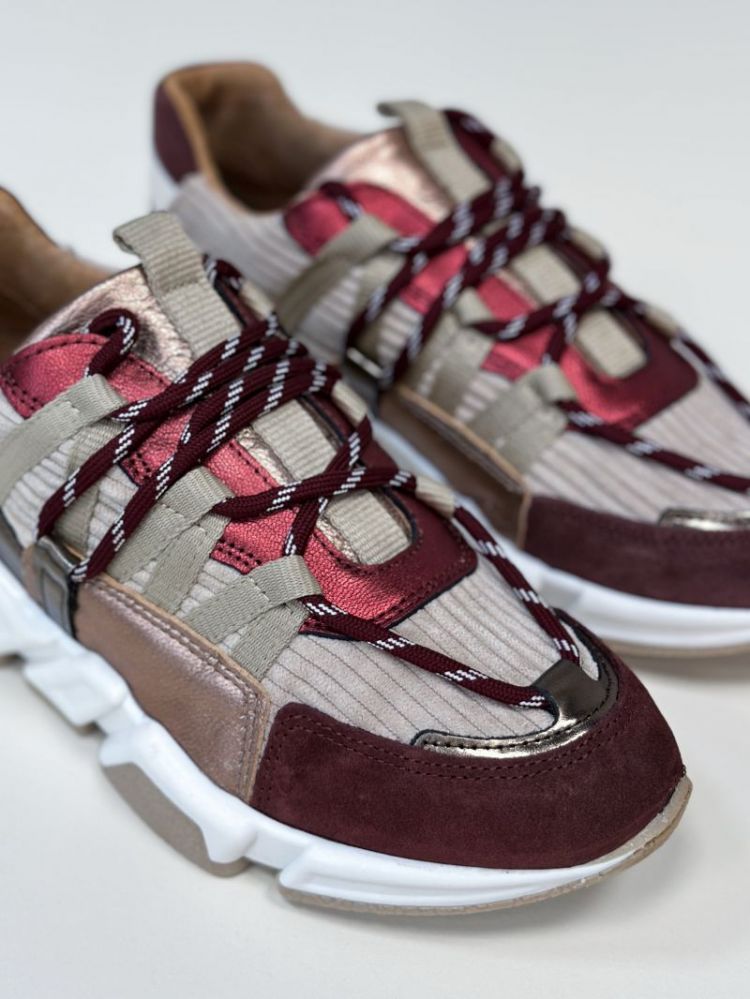  BORDEAUX/BEIGE