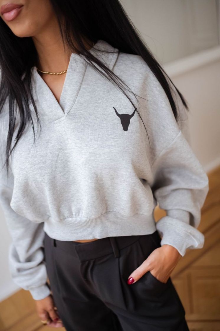  GRIS