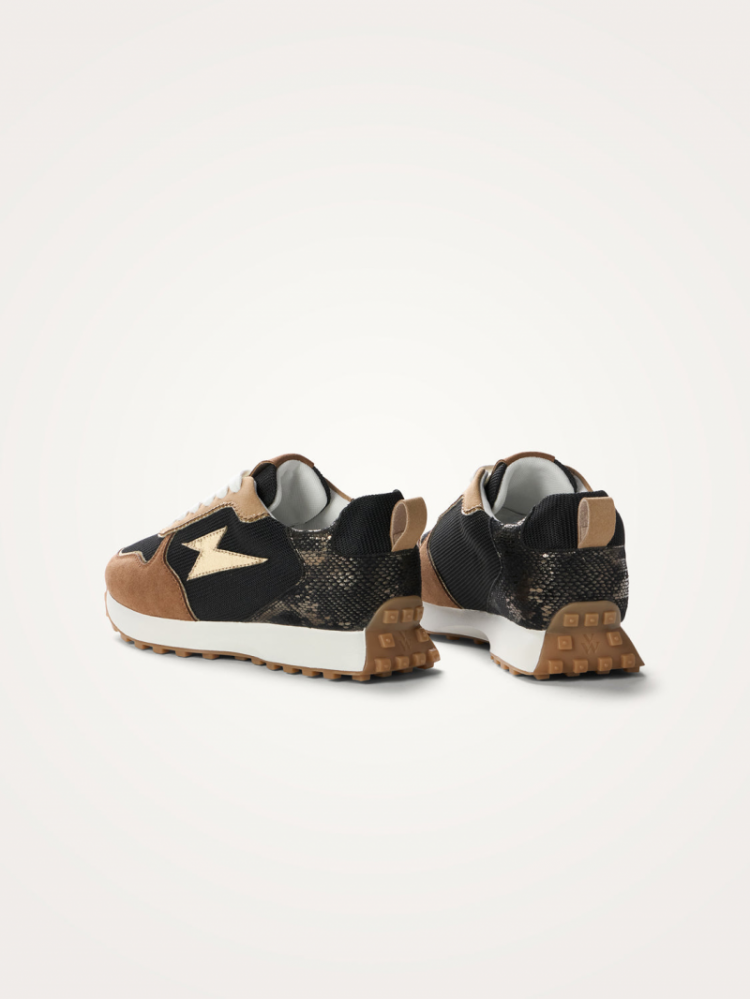  CAMEL