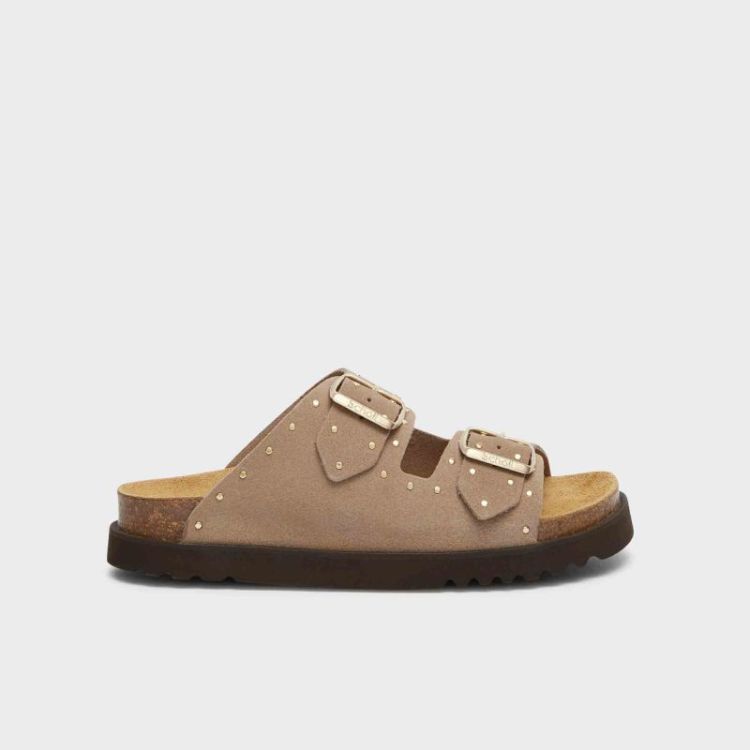  DK BEIGE/GOLD