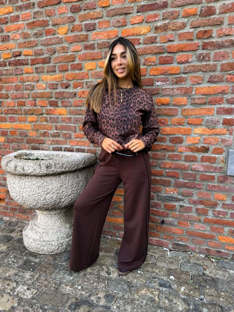  WARM BROWN