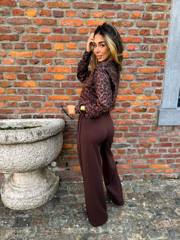  WARM BROWN