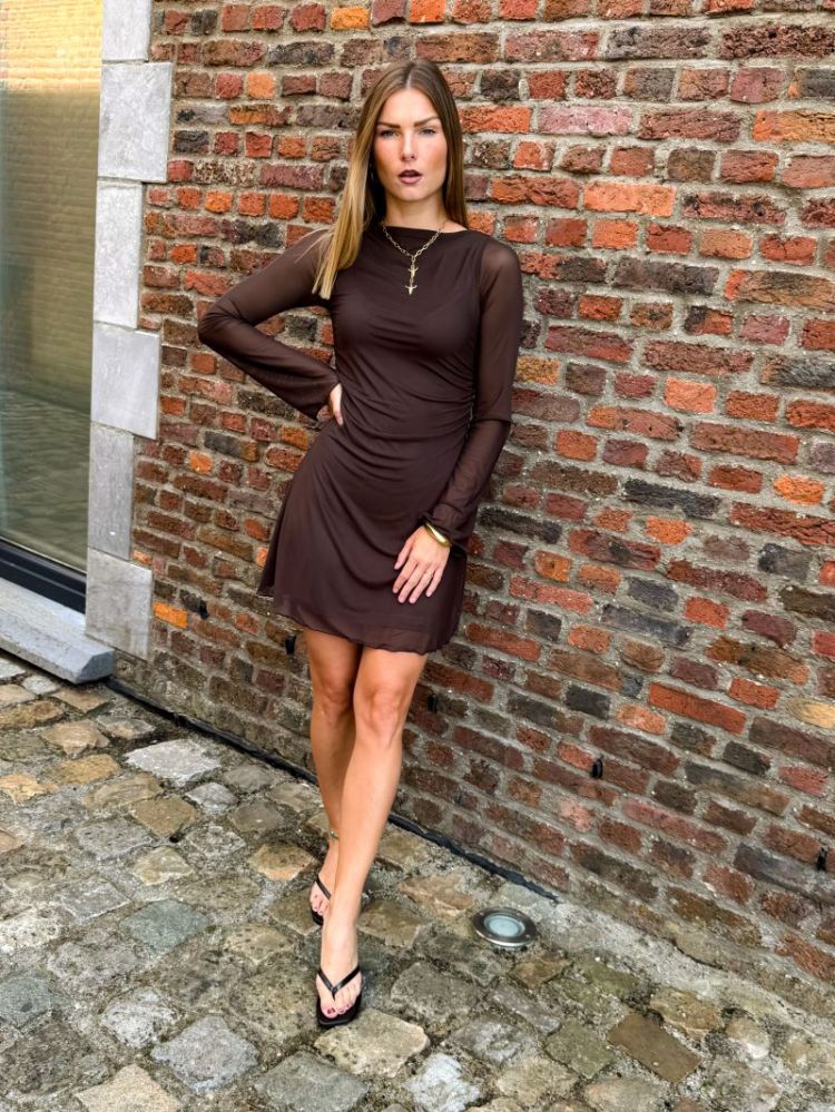JXMINNA MESH LS DRESS WVN 176191 Demitass