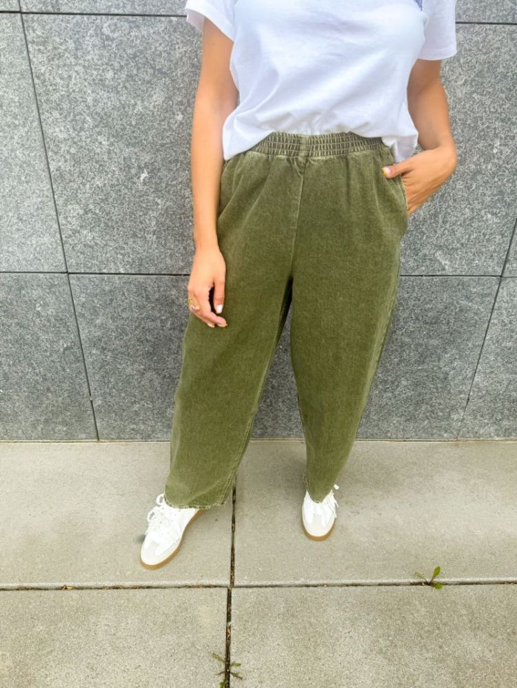  OLIVE