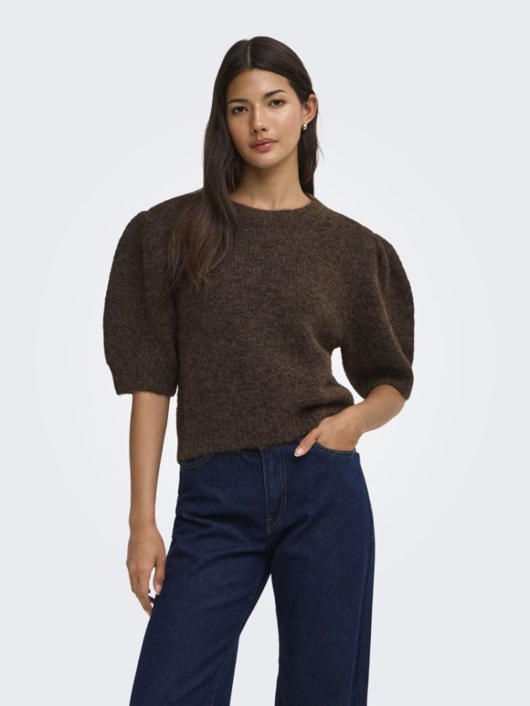 ONLNELLIE SS O-NECK KNT NCA 237375001 Coffe
