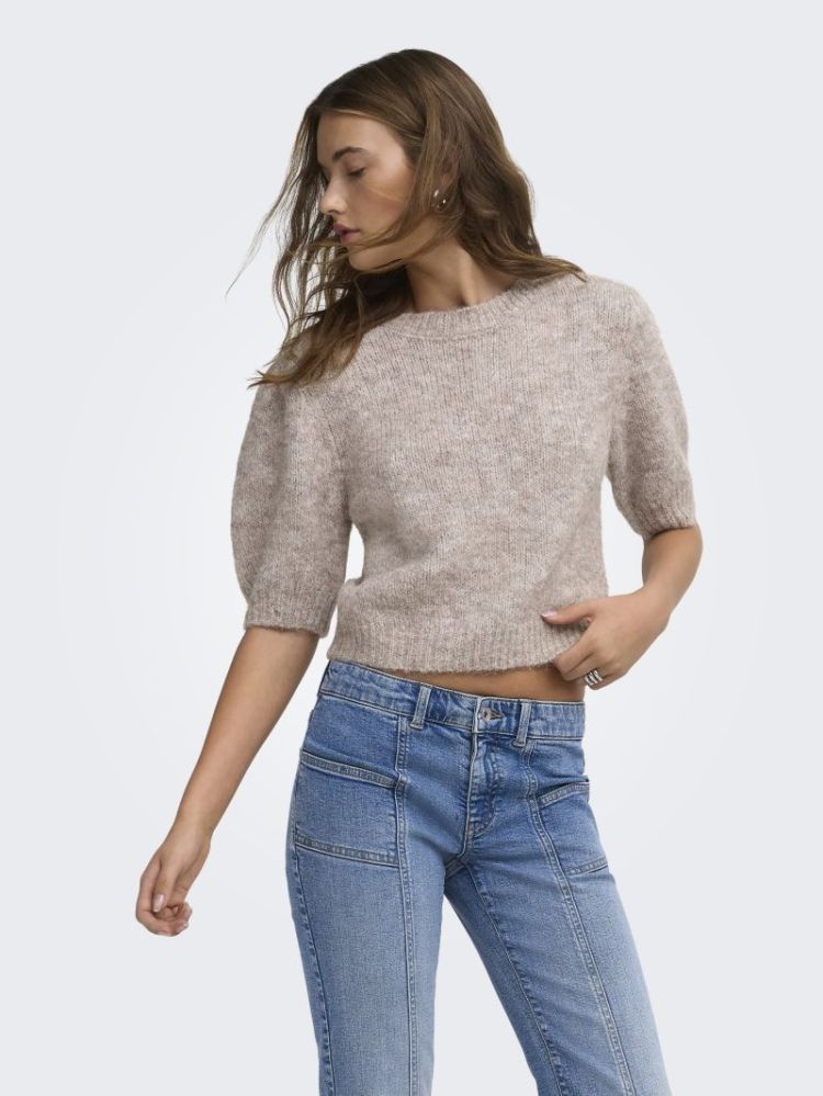 ONLNELLIE SS O-NECK KNT NCA 278275001 Mocha