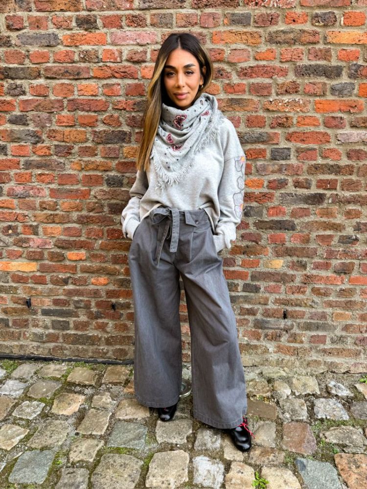  papillons gris