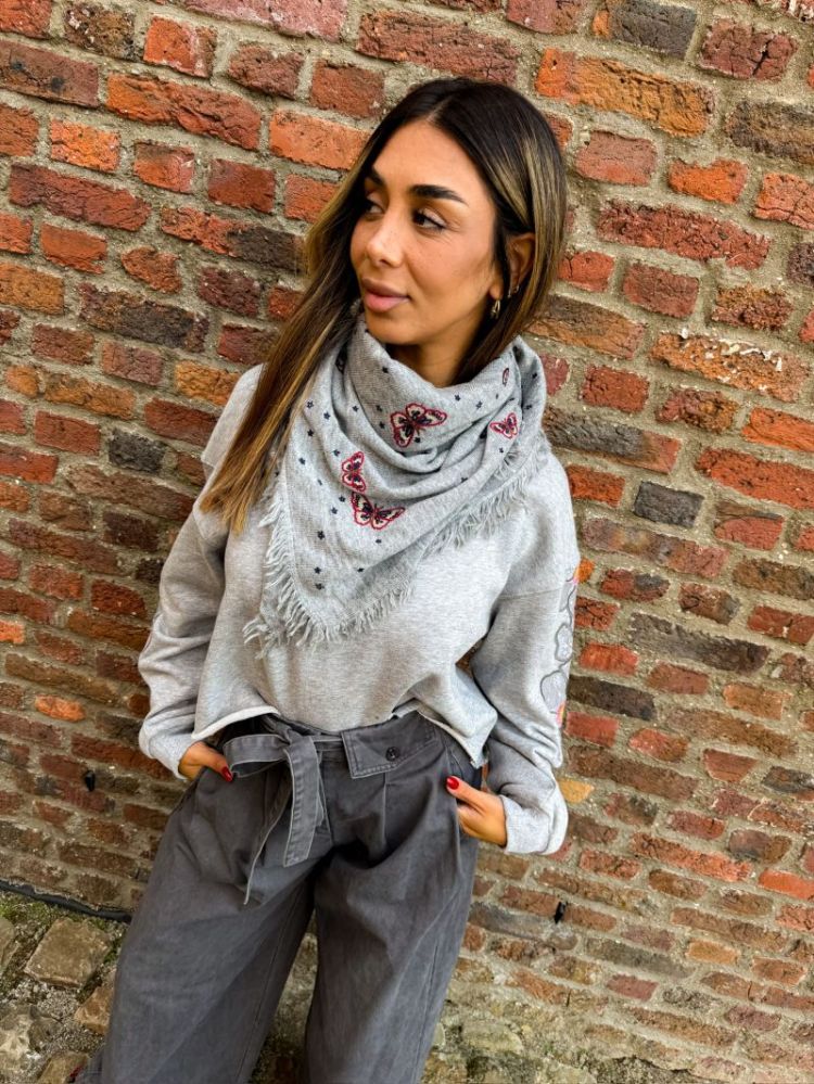  papillons gris
